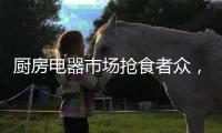 厨房电器市场抢食者众	，老板电器市占率将进一步提高