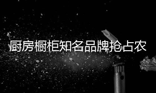 知名对厨房橱柜需求不大