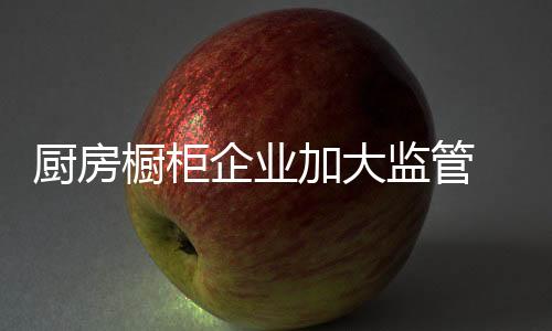 加大对官网的厨房橱柜投入