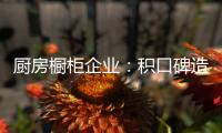 厨房橱柜企业：积口碑造精品 重营销讲服务