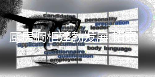 在厨房橱柜蓬勃发展之际