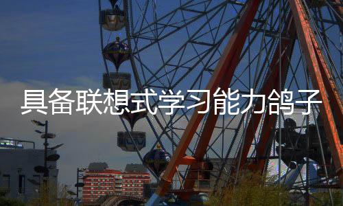 这项测试之所以非常苛刻
