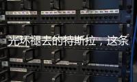 光环褪去的特斯拉，这条“鲶鱼”如何面对自主围攻？