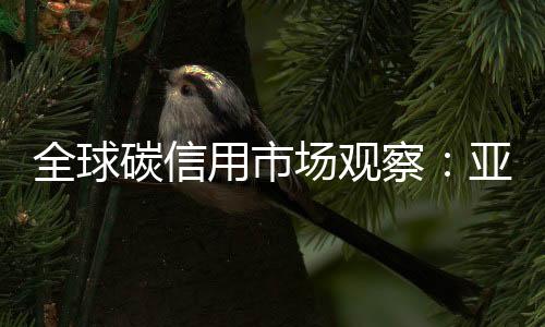 崛起可信度易受质疑
