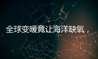 全球变暖竟让海洋缺氧�，3亿年前气候状态警示危机