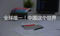 全球唯一
！中国这个世界遗产研究机构十岁了