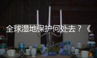 全球湿地保护何处去
？《湿地公约》科技委员会主席这么说