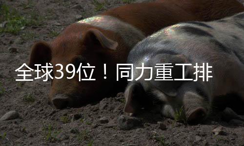 全球新能源”产品战略