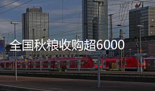 全国秋粮粳稻1131万吨