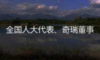 全国人大代表
、奇瑞董事长尹同跃：恶性竞争的“价格战”伤人伤己