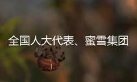 全国人大代表、蜜雪集团赵红果：建议新式茶饮建立国家标准