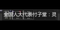 全国人大代表付子堂
：灵活就业人群个税不应“一刀切”