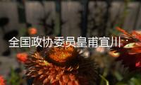 全国政协委员皇甫宜川：儿童影视教育应纳入全国文明城市评选标准