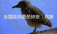 全国政协委员林安：民族地区基层医疗卫生要用“薪资留人”