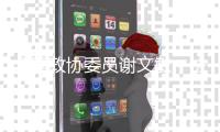 全国政协委员谢文敏：法院判决无法执行，相当于法律“白条”