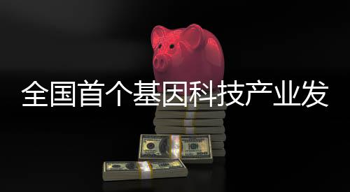 更高质量发展的强劲势头