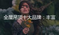 全屋吊顶十大品牌：丰富产品线 发挥自身优势