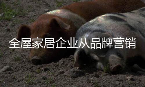 将品牌建设进行到底
