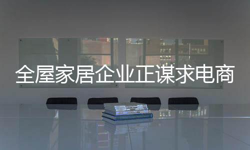 电商的正谋快速崛起