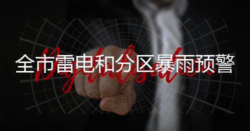 雷电目前降雨已减弱