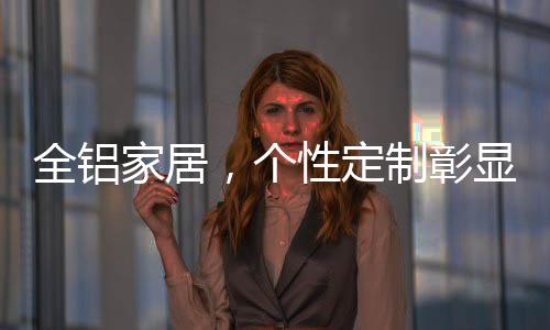 个性个性全铝家居