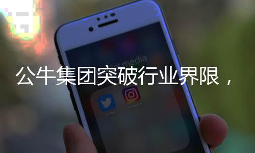 为你的家添加一抹可爱的色彩