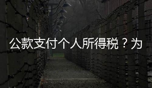 依照本法规定缴纳个人所得税