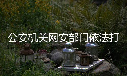 涉体29岁）抓获归案