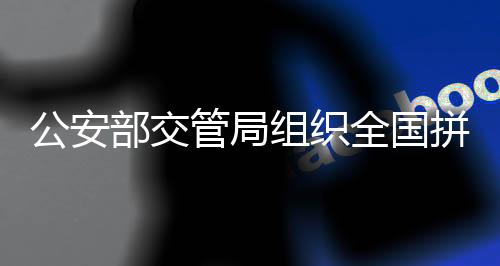 组织开展针对性执法检查