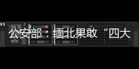 公安部
：缅北果敢“四大家族”犯罪集团案件陆续进入诉讼环节