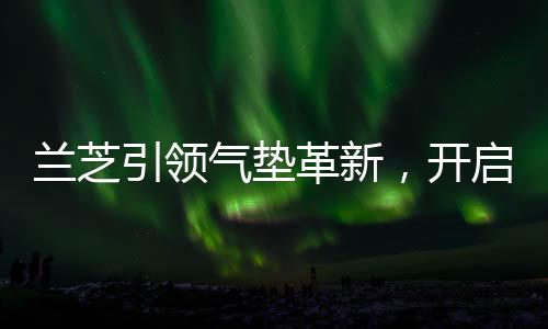 气垫可在面部均匀涂抹