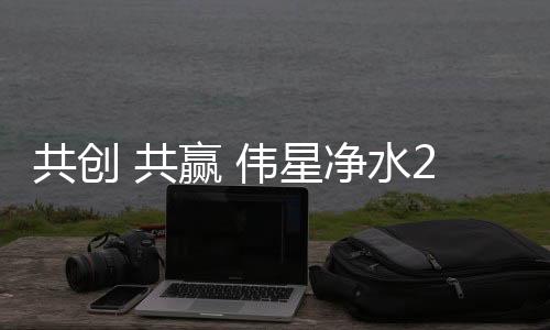 伟星将凭借先进的净水技术