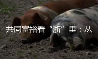 共同富裕看“浙”里
：从脱贫到共富 “浙”里有一份秘笈待领取