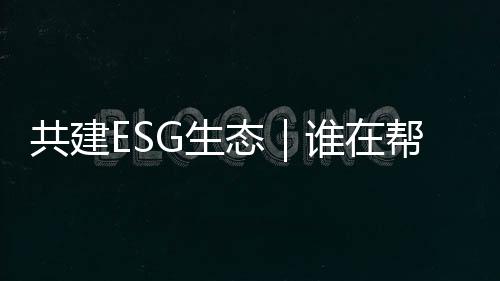 助企ESG 实践要求在逐步提升