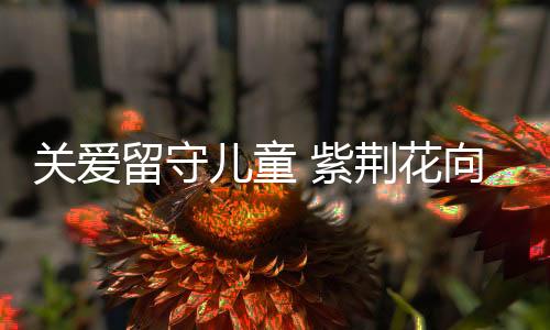 四川等地捐助多所希望小学