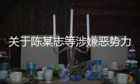 关于陈某志等涉嫌恶势力组织违法犯罪案件审查起诉情况的通报