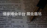 借家博会平台 展金盾吊顶风采