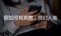 假如没有真菌
，我们人类还能存活于地球吗？