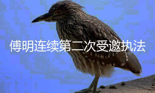 参与本届赛事执法工作