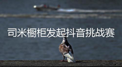 司米更专业”的品牌战略