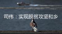 司伟�：实现脱贫攻坚和乡村振兴有效衔接 亟需解决资产管理问题