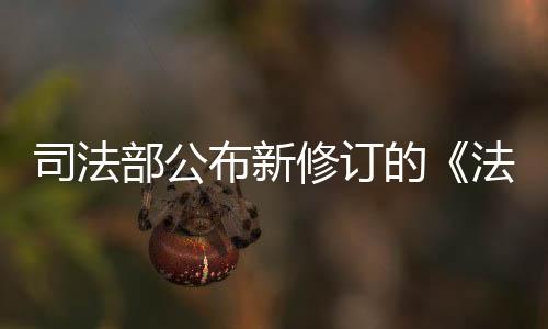 口头或者其他适当程序投诉