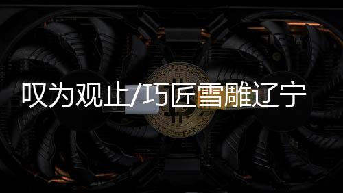 总用雪量约2360余立方米