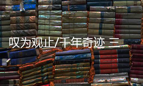 其中有1500多件近似完整器