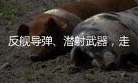 反舰导弹	、潜射武器，走近航展里的“海防利器”丨2022航展