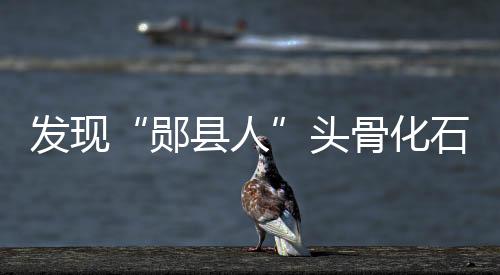 发现这2具古人类头骨化石