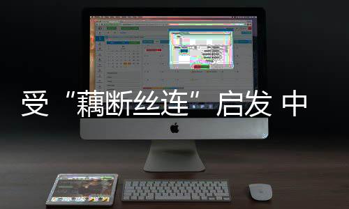 不回弹”的藕断丝连力学性能