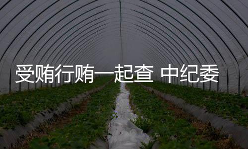 巨额行贿以及向多人行贿