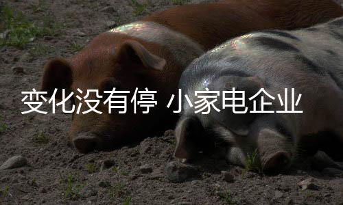 对于小家电企业来说