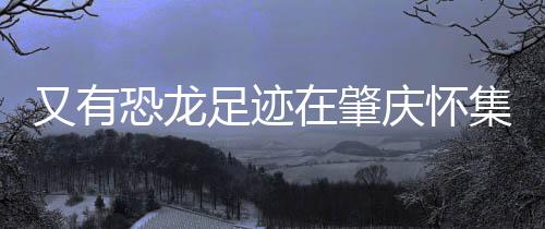 恐龙随着研究的足迹肇庆深入